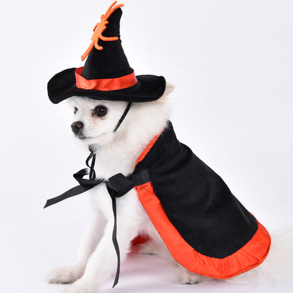 Divertido disfraz de Halloween para mascotas