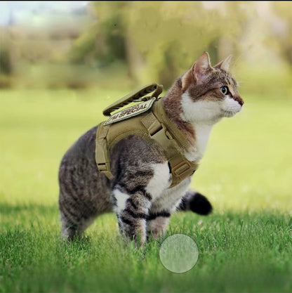 Chaleco para pasear gatos con correa pectoral