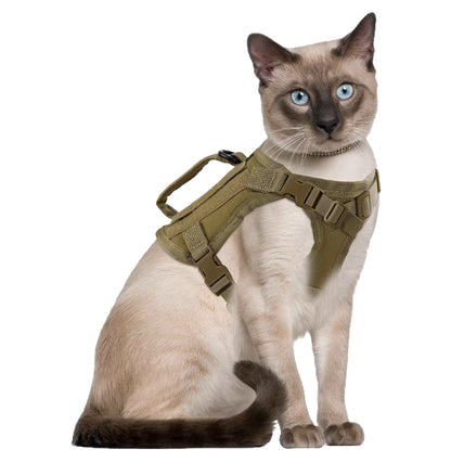 Chaleco para pasear gatos con correa pectoral