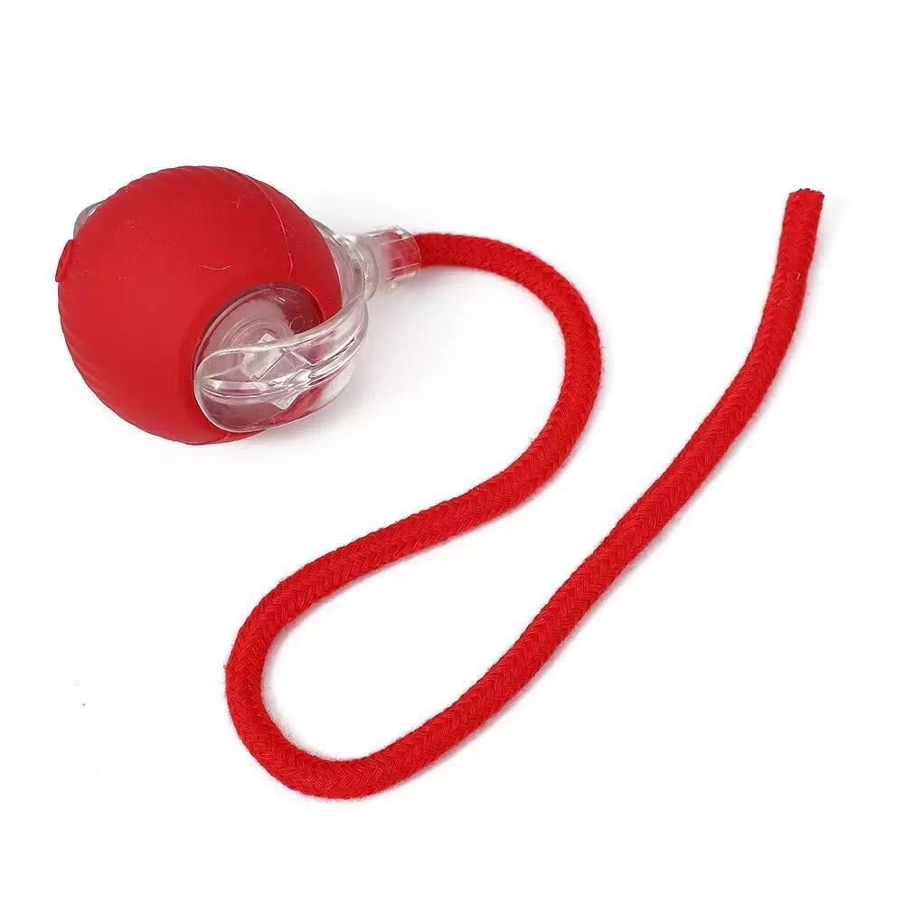 Pelota Rodante para gato