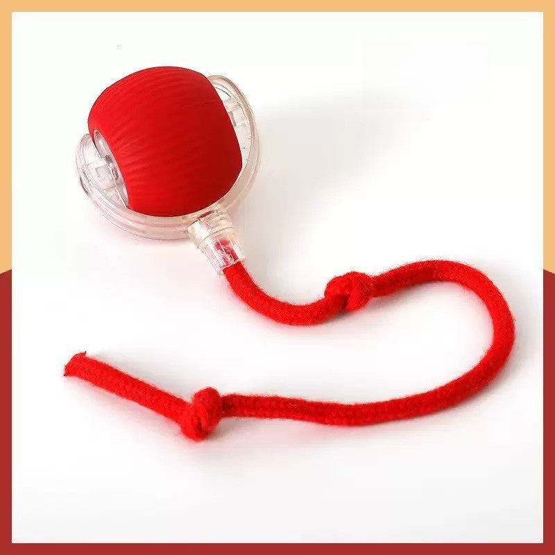 Pelota Rodante para gato