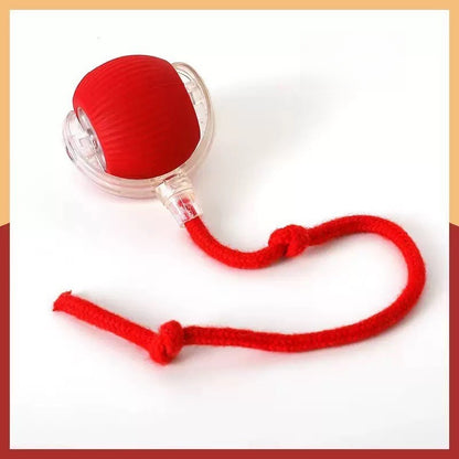 Pelota Rodante para gato