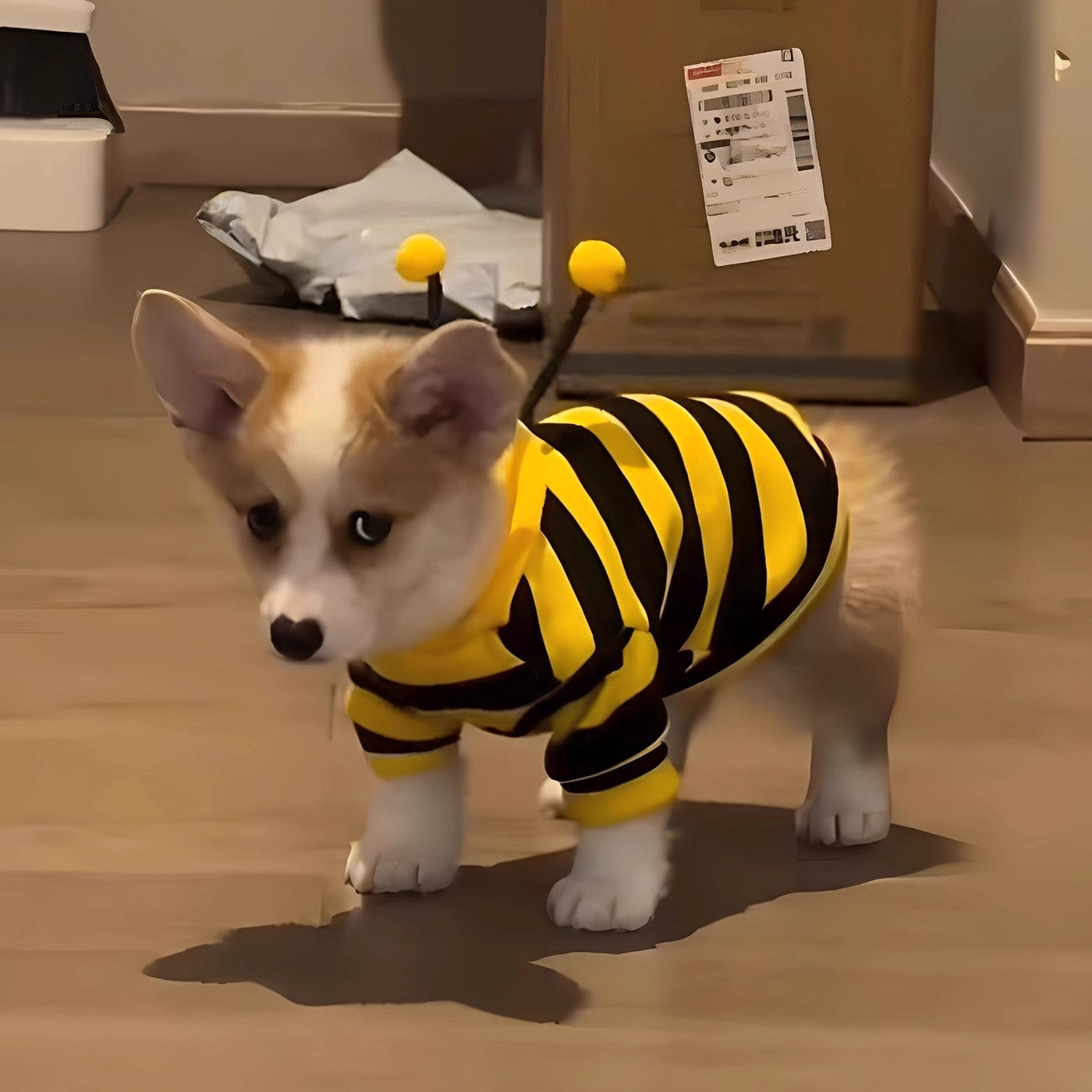 Abrigo de invierno calido de forro polar para perros pequeños con un adorable diseño de abeja