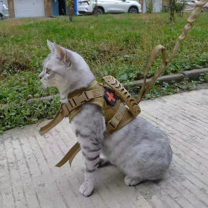 Chaleco para pasear gatos con correa pectoral