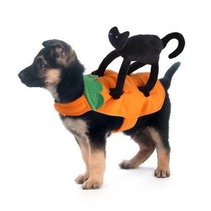 Disfraces de Halloween para perros y gatos