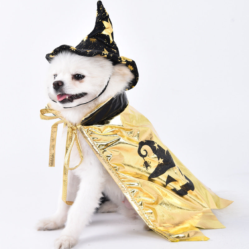Divertido disfraz de Halloween para mascotas