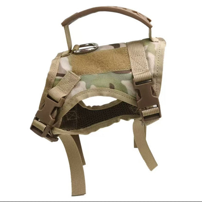 Chaleco para pasear gatos con correa pectoral