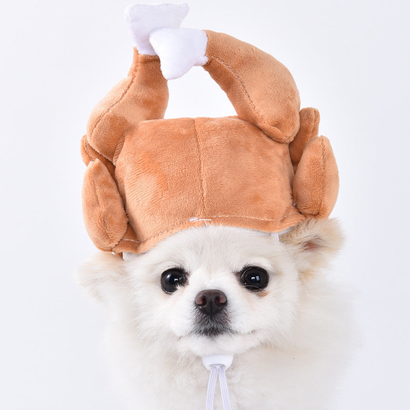 Divertido disfraz de Halloween para mascotas