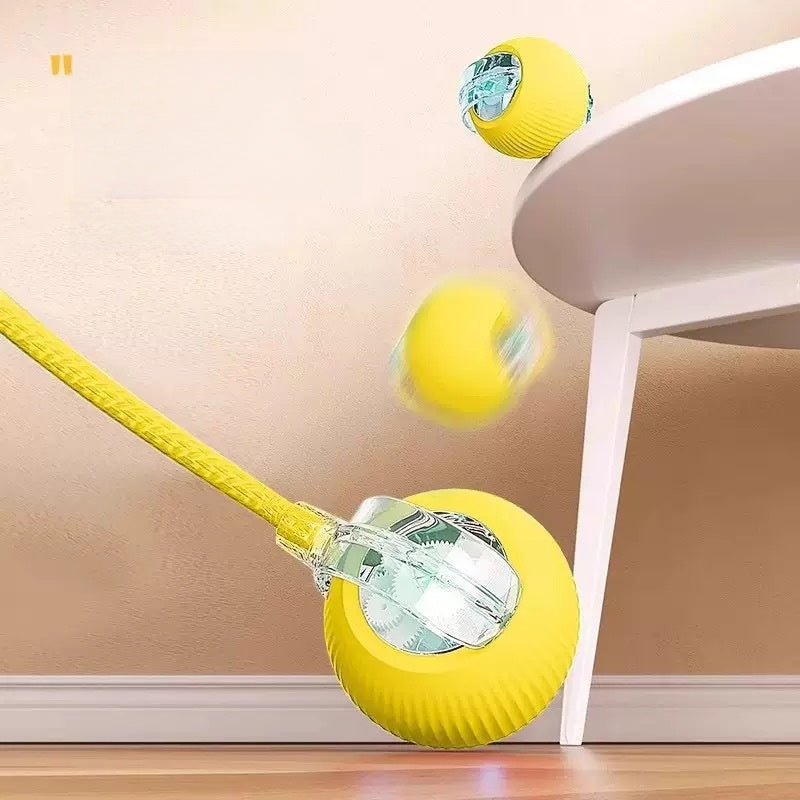 Pelota Rodante para gato
